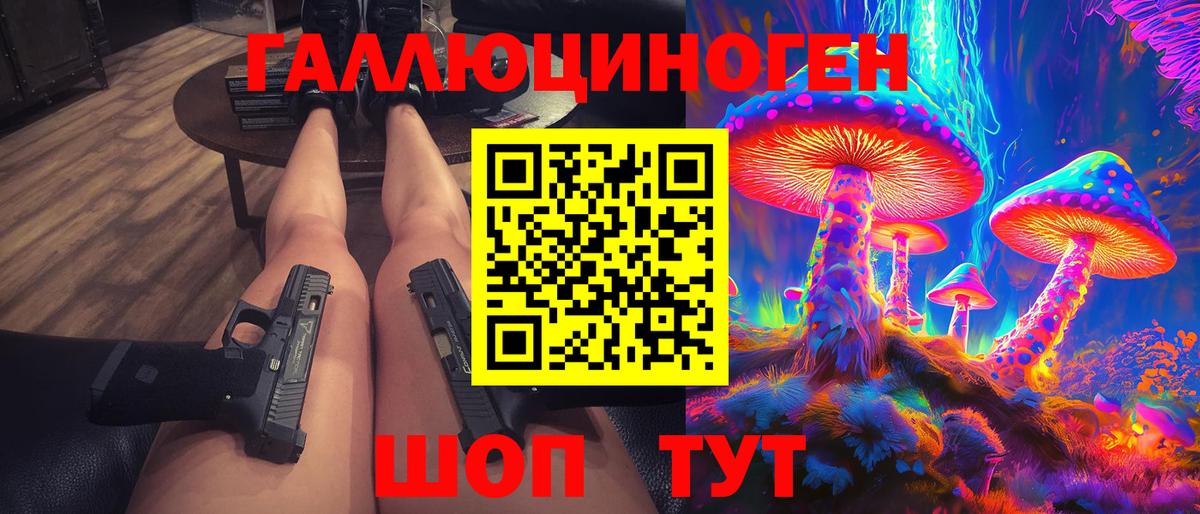 Псилоцибиновые грибы Psilocybe Советск